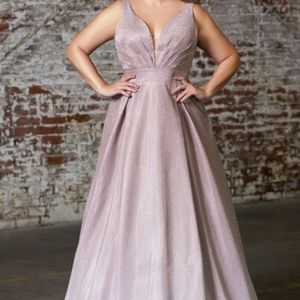 NWT Cinderella Divine Ombre Gown